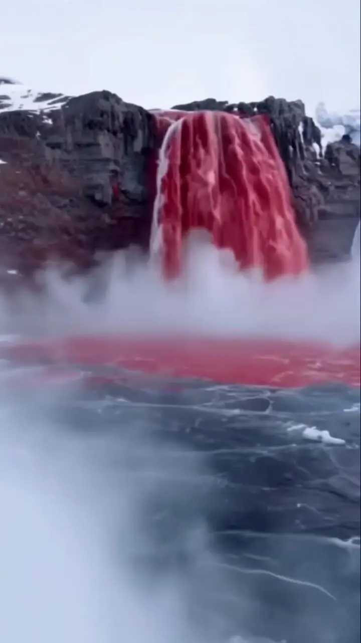 ببینید؛ راز آبشار خون در جنوبگان، چرا یخ خون می‌ریزد؟