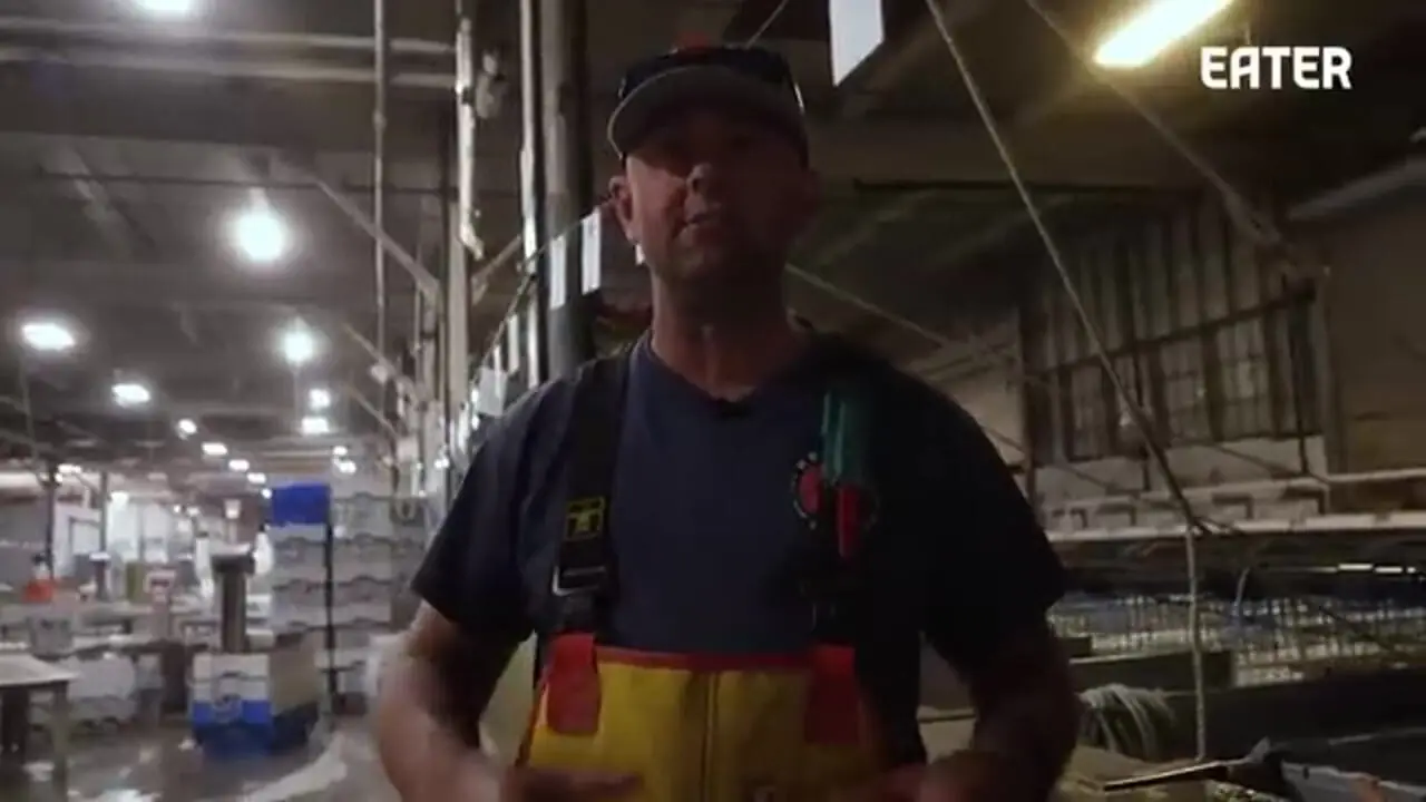 ببینید| چگونه میلیون ها عدد لابستر در آمریکا پرورش داده و فرآوری می شوند؟