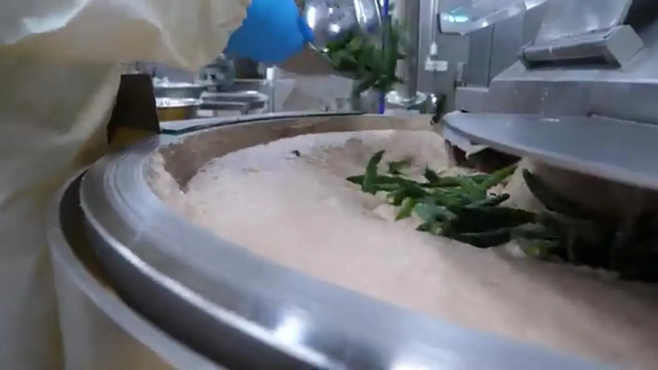 ببینید| سوسیس مرغ و گوشت چگونه در کارخانه تولید می شود؟