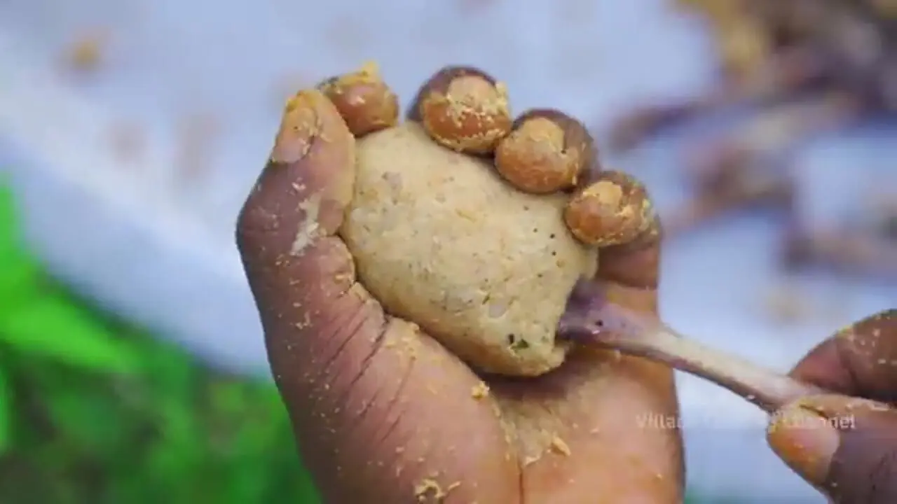 غذای روستایی در هند؛ تهیه ران مرغ سوخاری و پوره سیب زمینی در طبیعت روستا