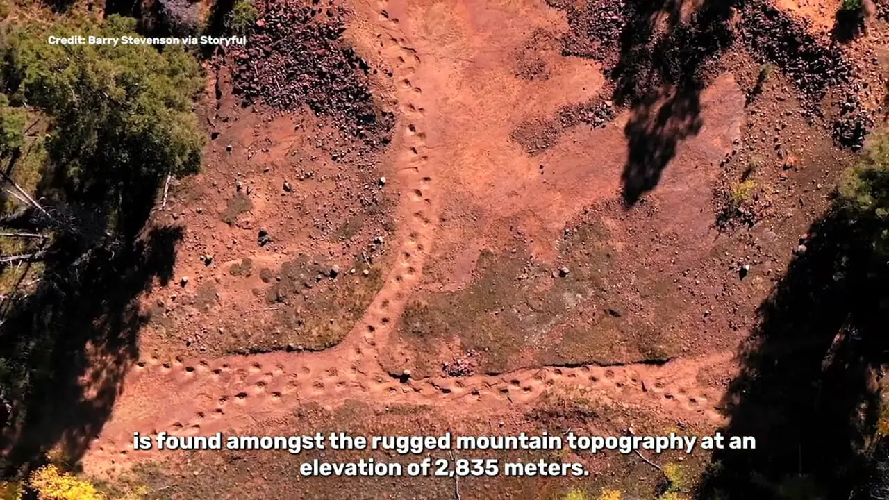 ببینید؛ کشف سریع‌ترین دایناسور تاریخ