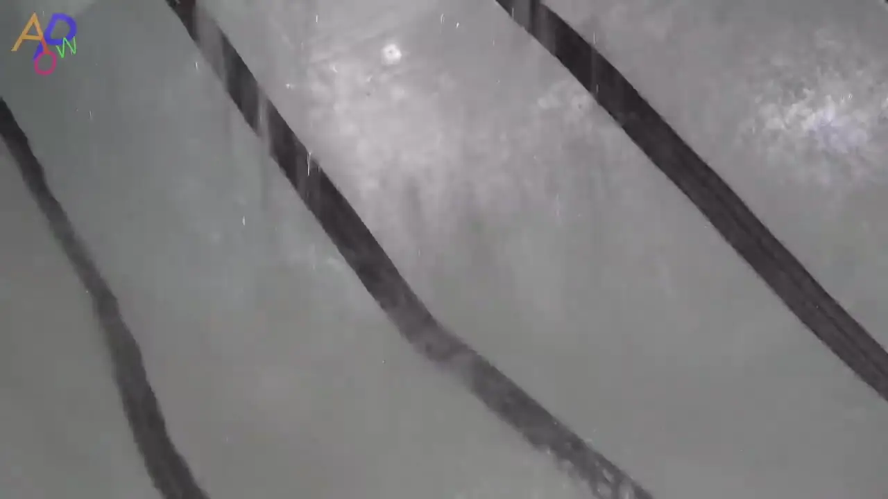 ببینید| فرآیند تولید انبوه فوم در کارخانه ای در کره جنوبی