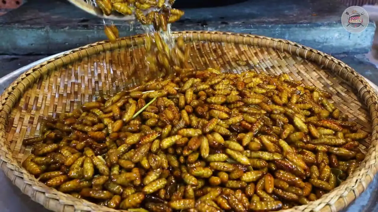 غذای روستایی در سنگاپور؛ پخت یک غذای عجیب با کرم ابریشم