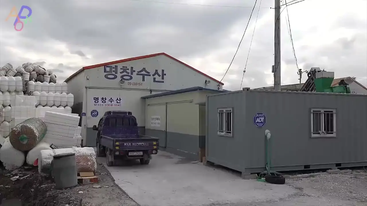 مراحل شگفت‌انگیز پرورش و فرآوری صدف خوراکی در کره جنوبی