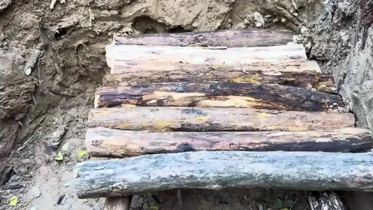 ببینید| فرآیند ساخت یک پناهگاه سنگی و ساده در دل جنگل های آلمان