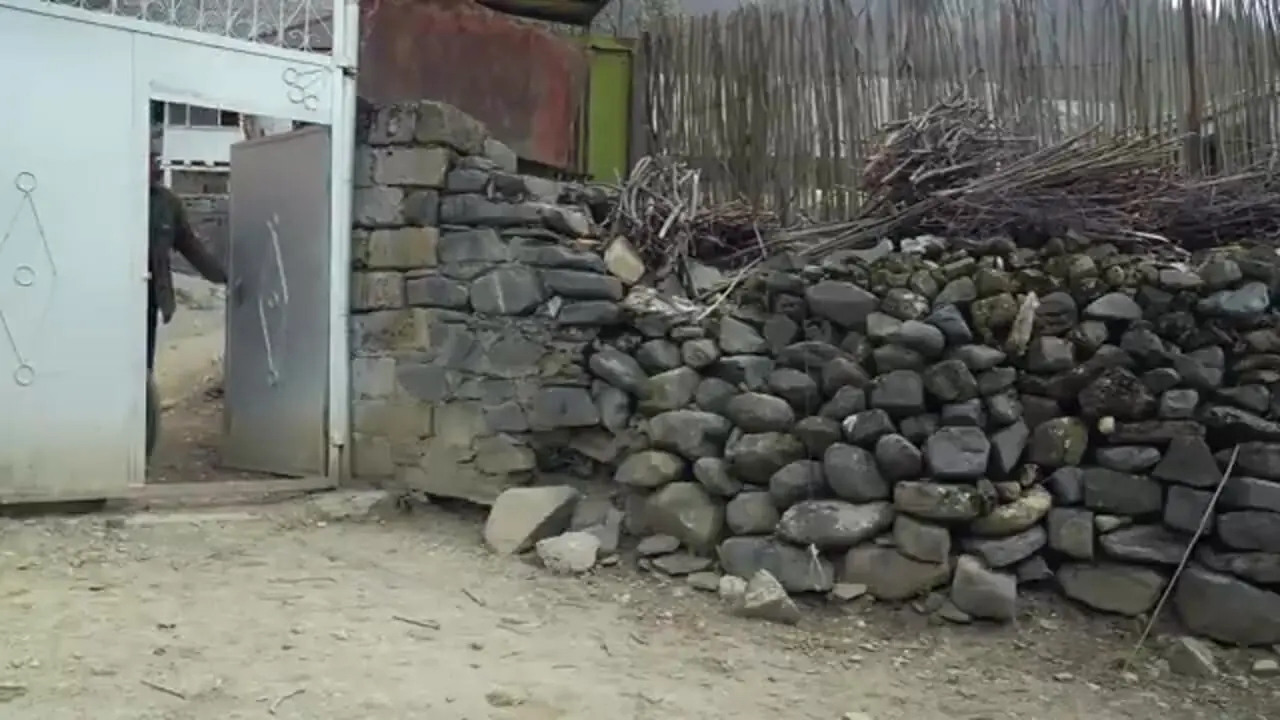 غذای روستایی در آذربایجان؛ کباب کردن ماهی قزل آلا روی آتش در جنگل