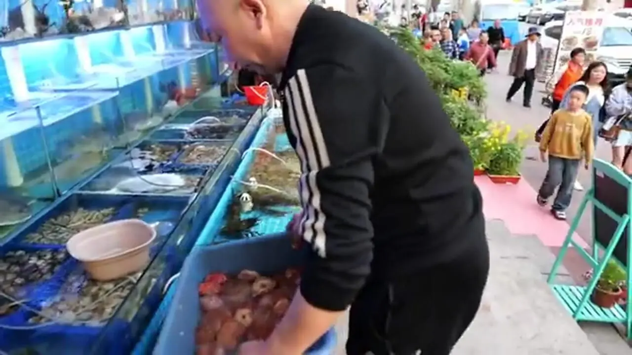 غذای خیابانی در چین؛ پخت 3 نوع غذا با شقایق دریایی در چینگ‌دائو