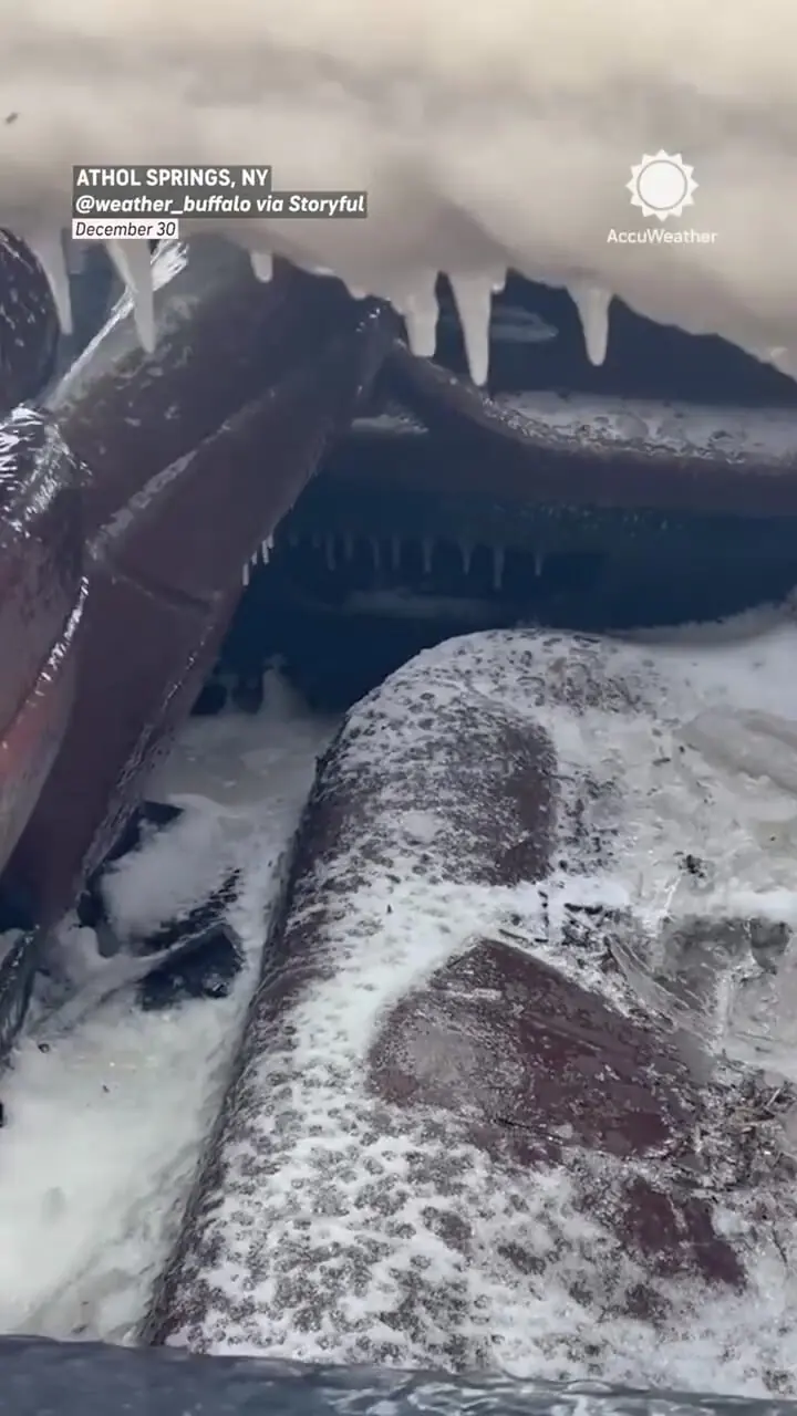 خودروی BMW سرقتی بر اثر سرمای شدید یخ زد