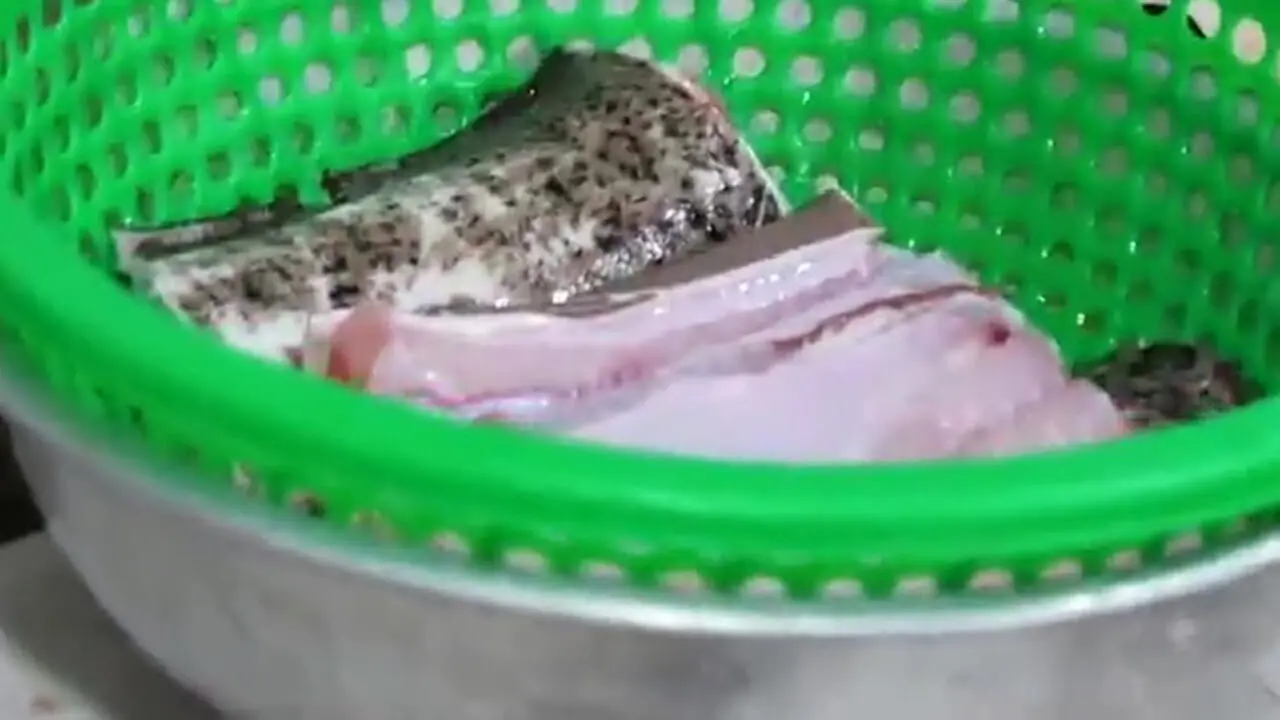 غذای خیابانی در ویتنام؛ پخت غذا با مارماهی مورای غول پیکر در هانوی