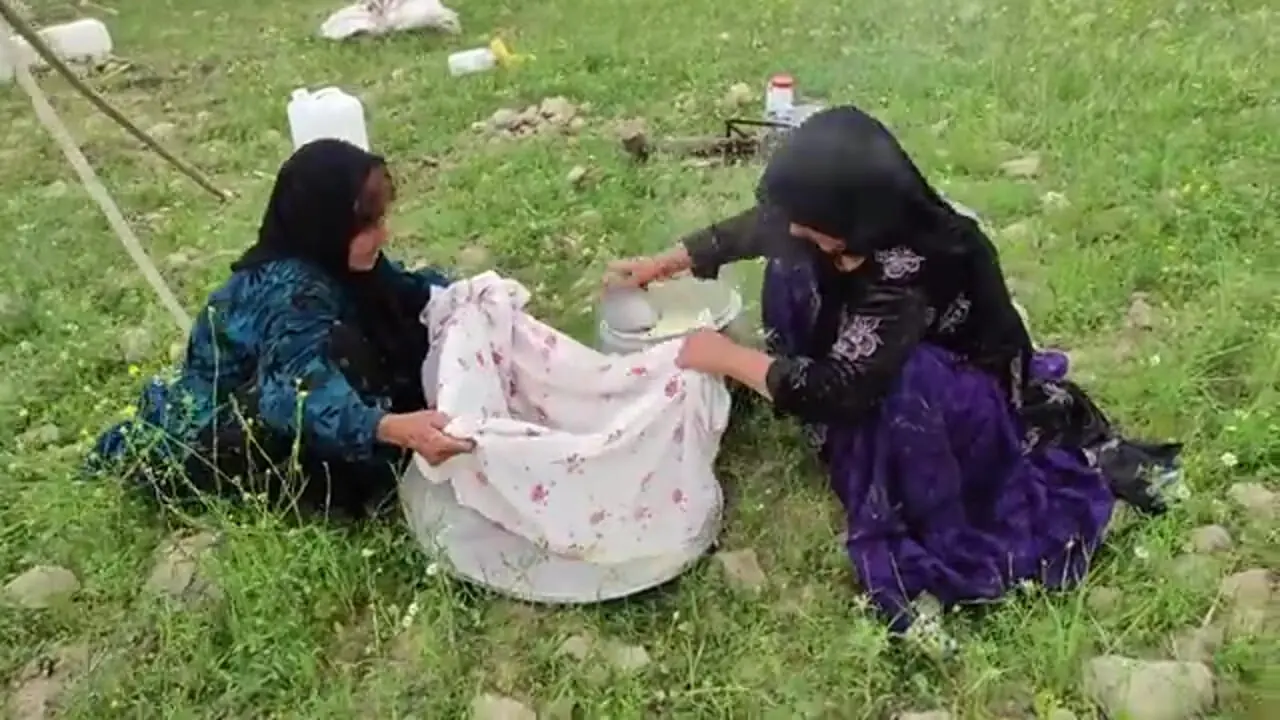 ببینید| غذای روستایی در ایران؛ تهیه پنیر با شیر بز توسط بانوان عشایر