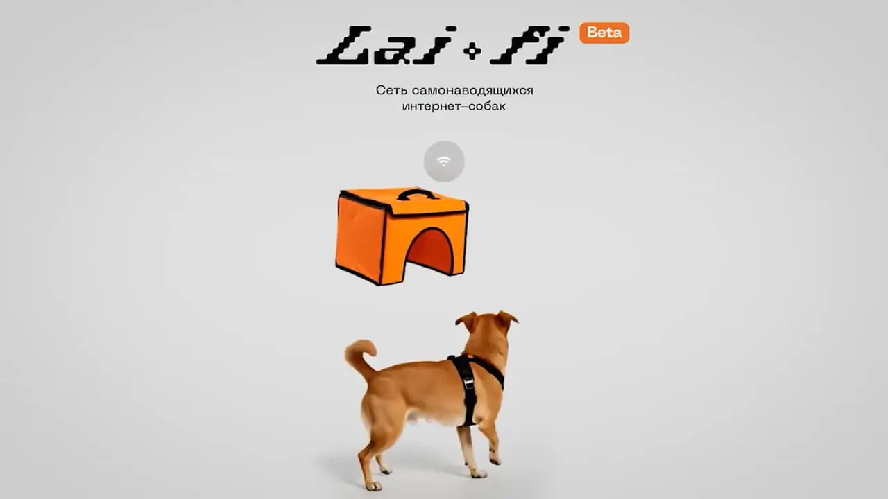 ایده جالب روس‌ها برای به سرپرستی گرفتن سگ‌ها