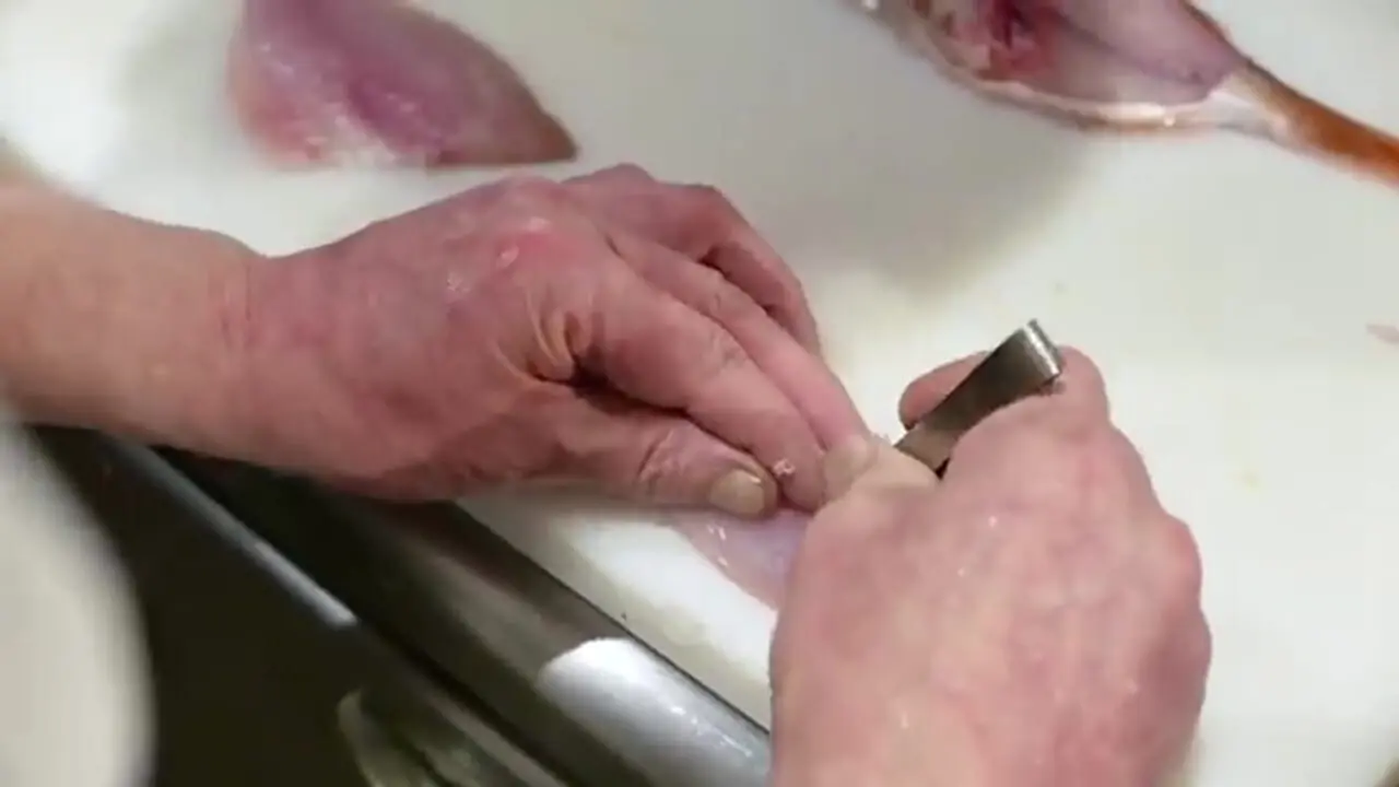 ببینید| غذای خیابانی در ژاپن؛ تهیه دو نوع غذا با ماهی اسنپر در توکیو