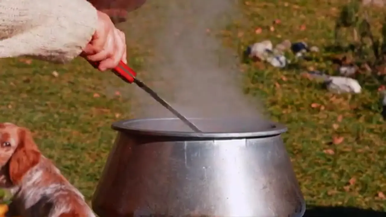 ببینید| غذای روستایی در آذربایجان؛ صید ماهی و دودی کردن آن در روستایی زیبا