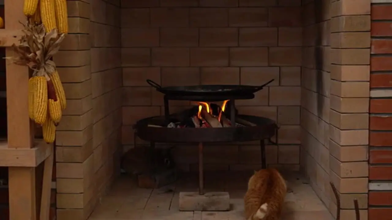 ببینید| غذای روستایی در آذربایجان؛ پخت پای سبزیجات توسط مادر بزرگ روستایی