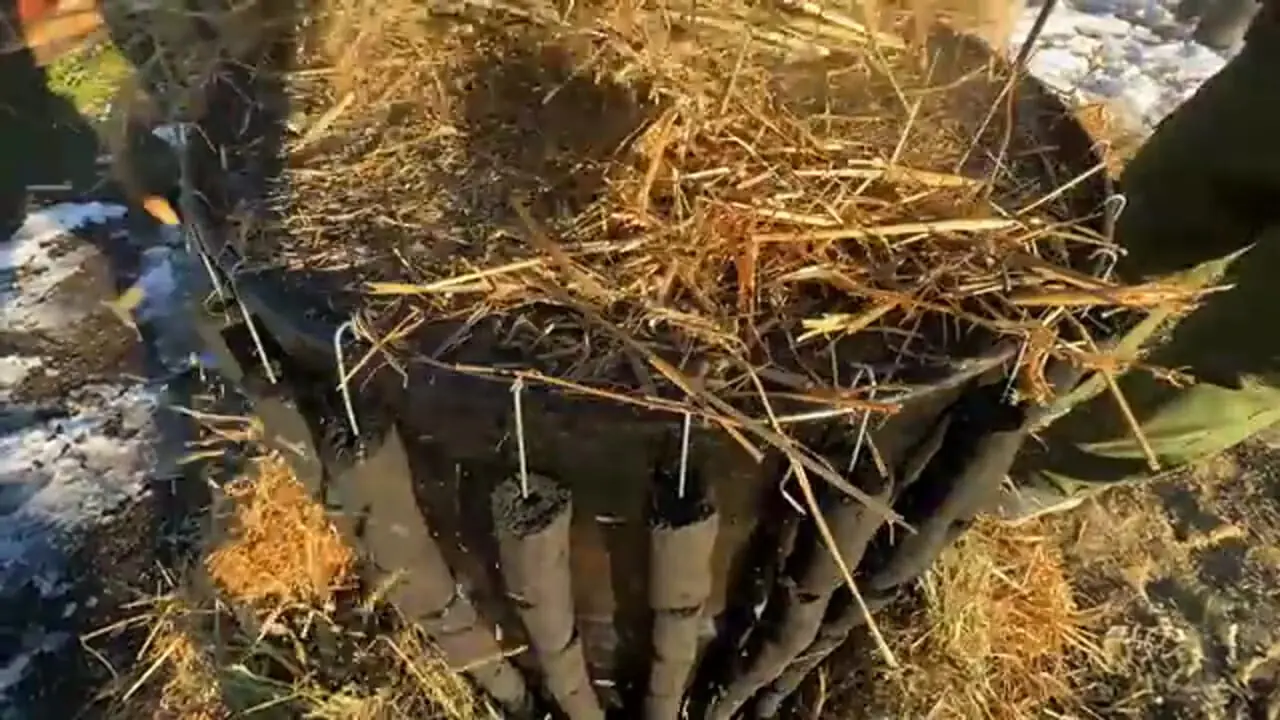 ببینید| غذای روستایی در آذربایجان؛ تهیه بریانی با تاس ماهی غول پیکر در بشکه