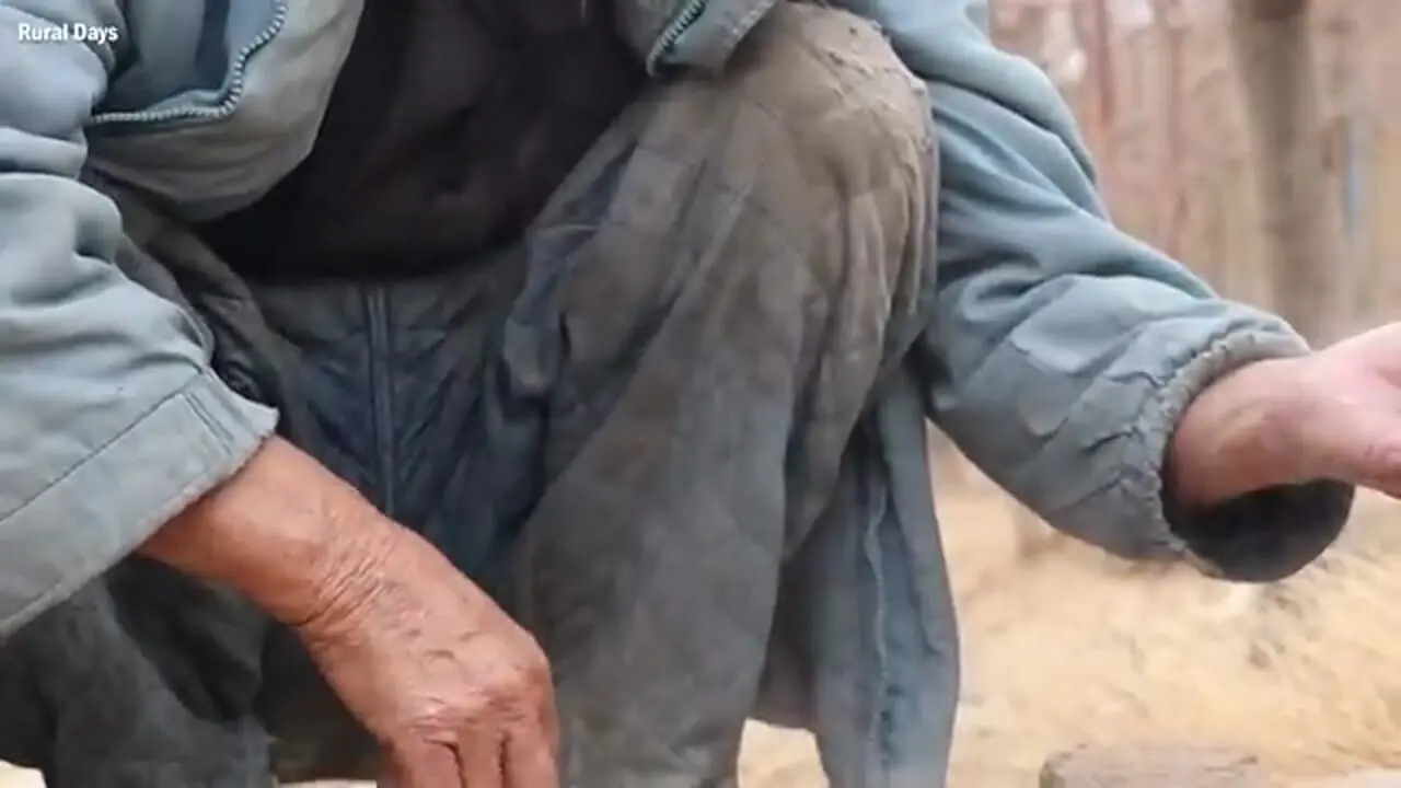 ببینید| غذای روستایی در افغانستان؛ پخت سمبوسه ی سنتی توسط زوج مسن افغان