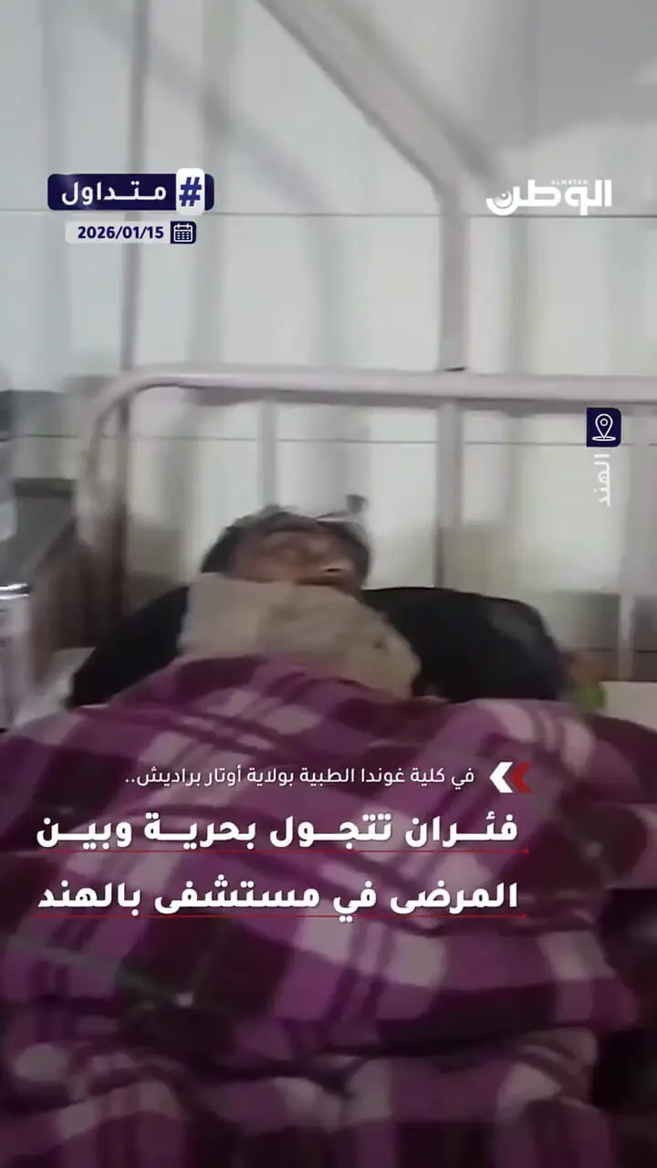 ویدئوی جنجالی از حضور موش‌ها در بخش ارتوپدی یک بیمارستان