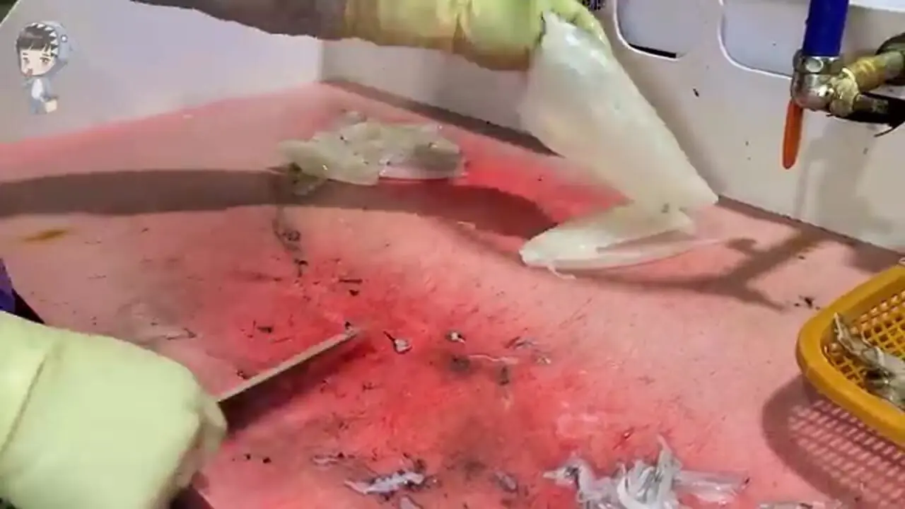 ببینید| غذای خیابانی در کره؛ برش زدن و تهیه ساشیمی با ماهی مرکب در پوهانگ