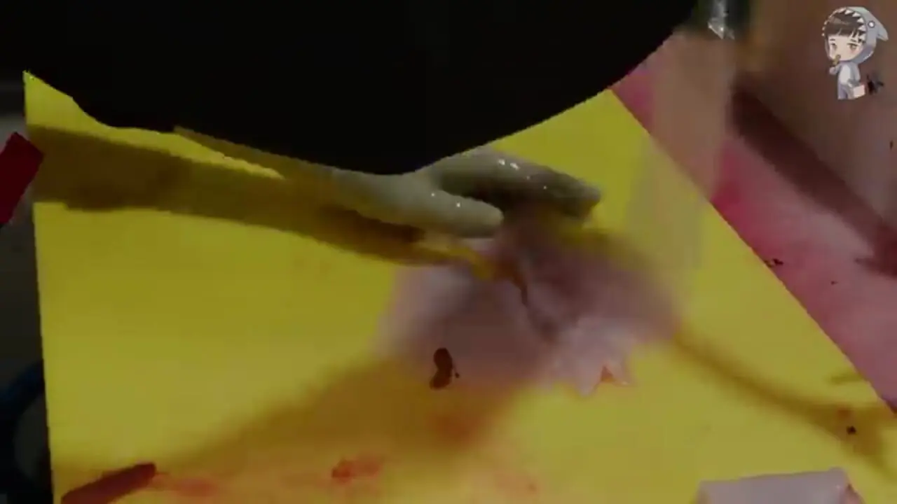 ببینید| غذای خیابانی در کره؛ تهیه ساشیمی با سفره ماهی در پوهانگ