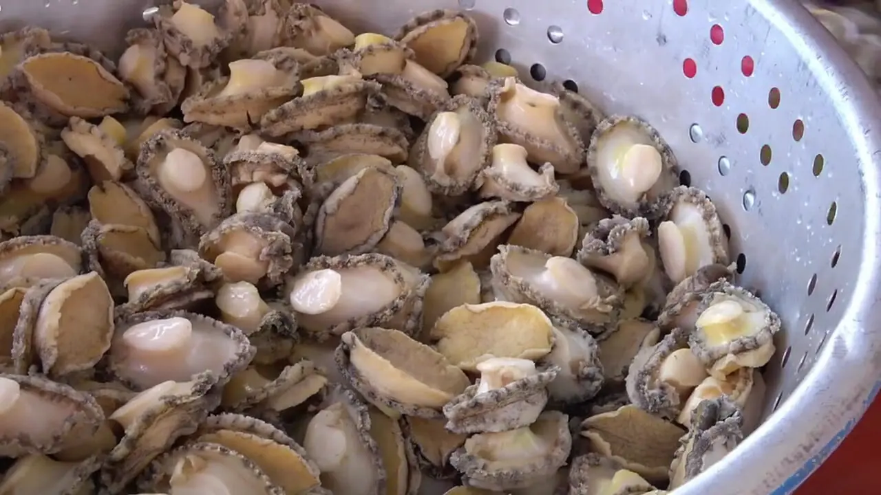 ببینید| غذای خیابانی در تایوان؛ پخت یک غذای محبوب با خرچنگ و صدف در تایپه