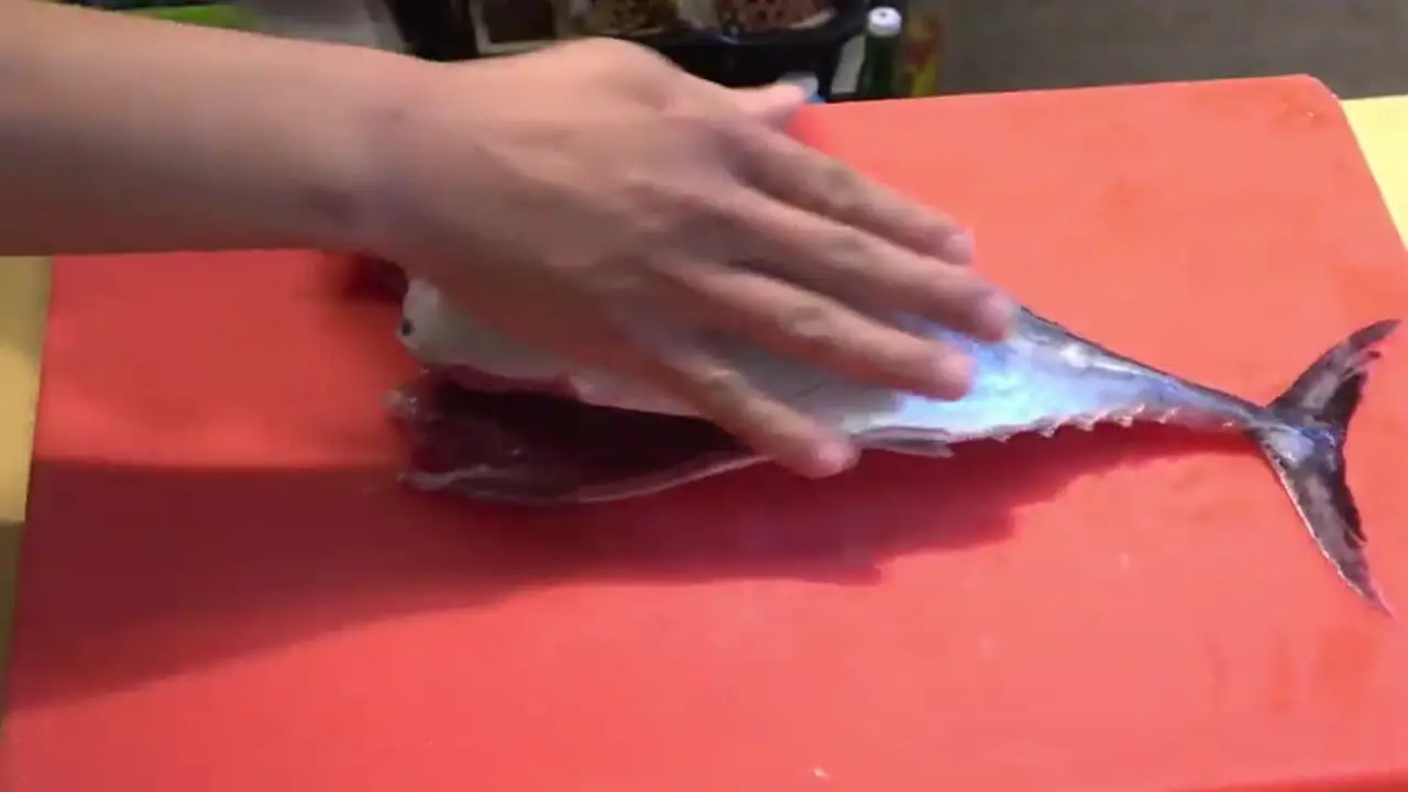 ببینید| غذای خیابانی در تایوان؛ برش استادانه ماهی باله زرد و تهیه کباب و ساشیمی با آن در تایپه