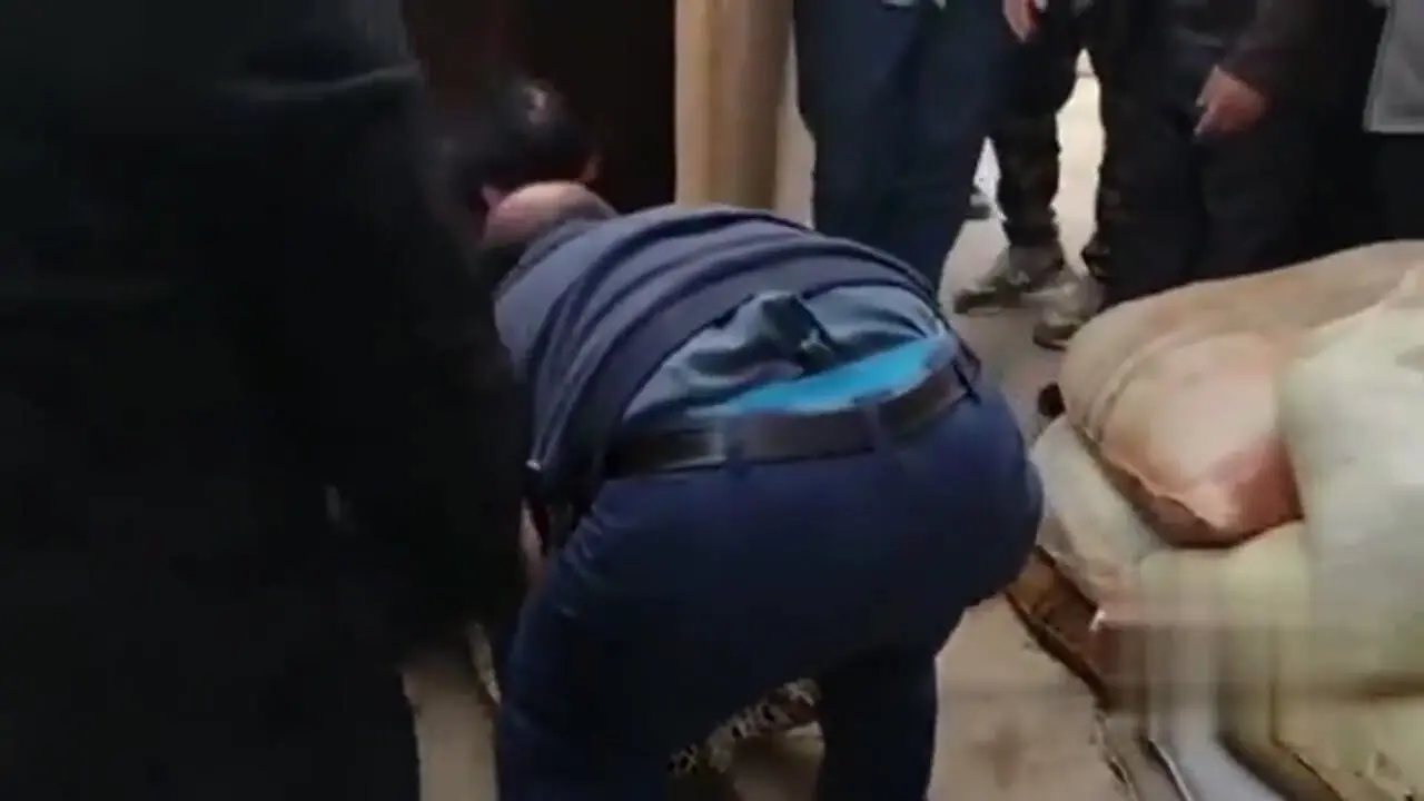 ببینید| حضور پلنگ در حیاط خانه‌ یک روستایی!