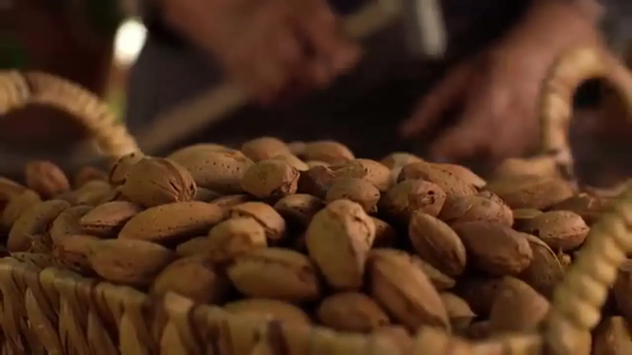 ببینید| غذای روستایی در آذربایجان؛ برداشت بادام و پخت شیرینی و نان با آن