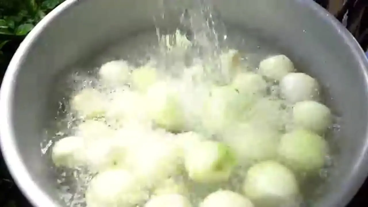 غذای روستایی در کامبوج؛ پخت یک غذای سنتی با 10 کیلو میگو رودخانه ای