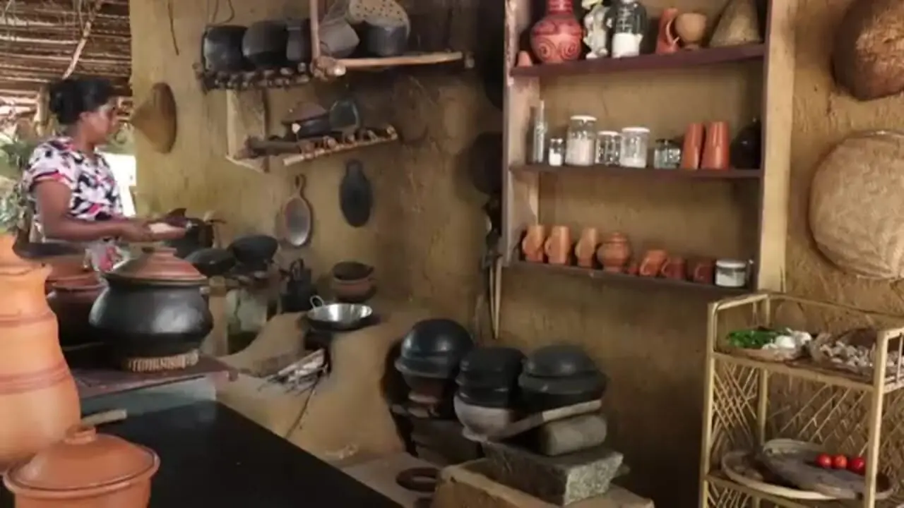 غذای روستایی در سریلانکا؛ برداشت یام وحشی و پخت غذای سنتی با آن