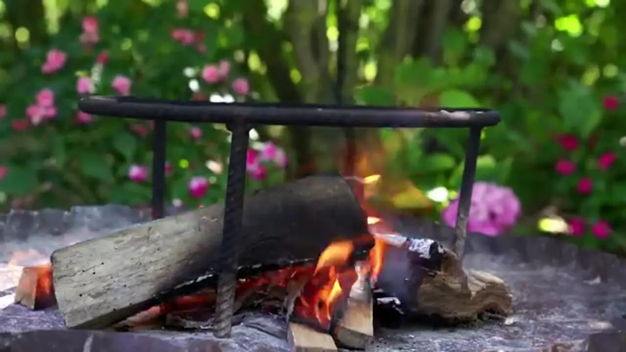 ببینید| غذای روستایی در آذربایجان؛ برداشت گوجه کال از مزرعه و تهیه ترشی با آن