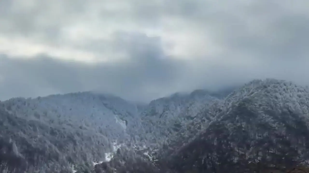 غذای روستایی در آذربایجان؛ کباب ماهی بلوگا غول بزرگ روی آتش