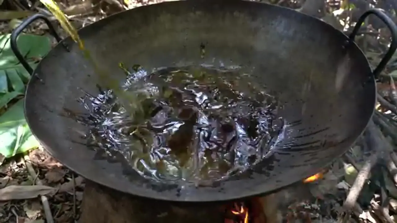 غذای روستایی در چین؛ تهیه ران مرغ سوخاری در جنگل