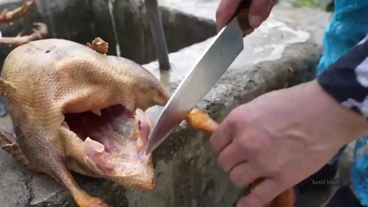 غذای روستایی در ایران؛ پخت بریانی با اردک شکم پر در روستا