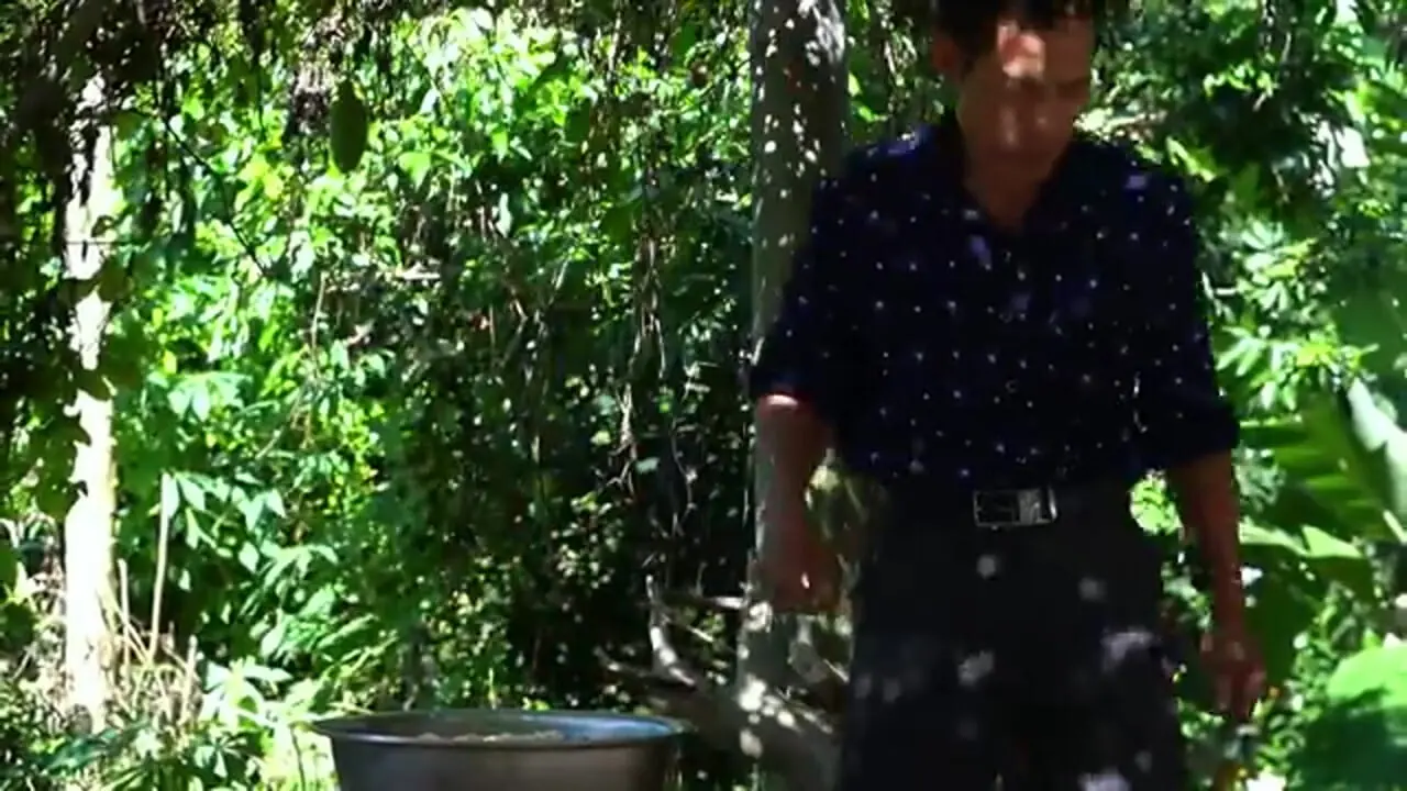 ببینید| غذای روستایی در چین؛ برداشت زنجبیل از مزرعه و تهیه 4 نوع غذا با آن