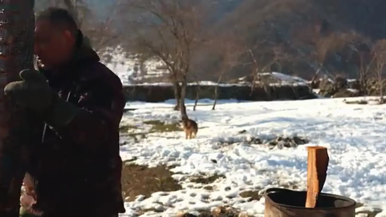 غذای روستایی در آذربایجان؛ صید گربه ماهی غول پیکر و کباب کردن آن در بشکه