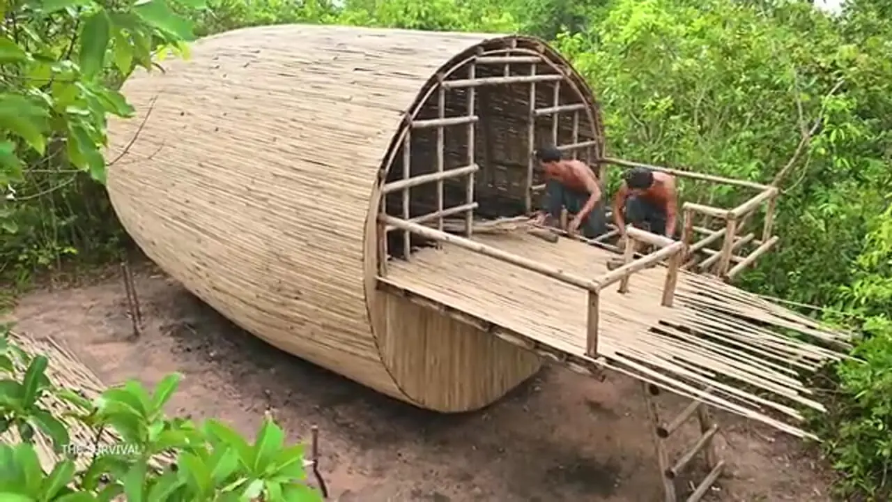 ببینید| نحوه ساخت یک ویلای متفاوت و زیبا با چوب و بامبو در جنگل های کامبوج