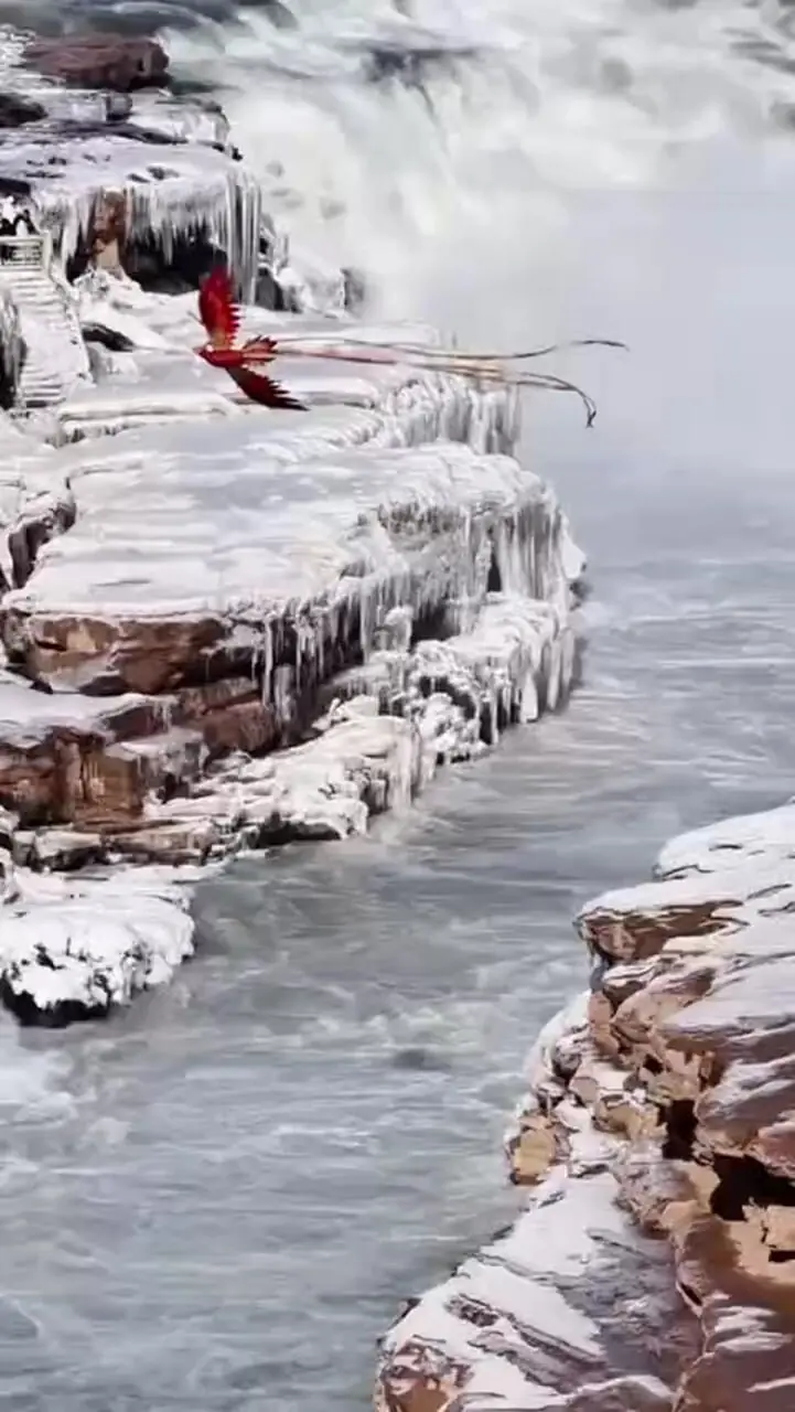 برگزاری نمایش دیدنی پهپادها در چین با تصاویری از «اژدهای چینی» و «ققنوس»