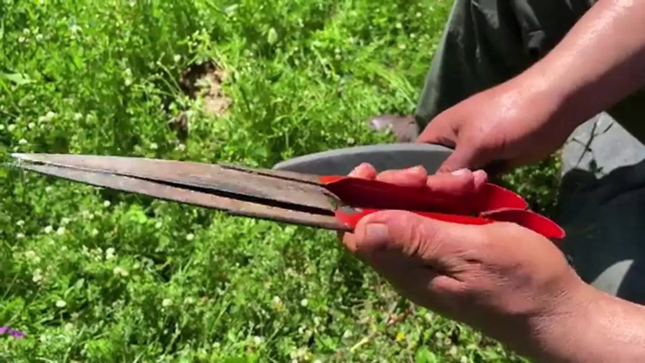 ببینید| غذای روستایی در آذربایجان؛ کباب کردن ماهی کپور سرگنده