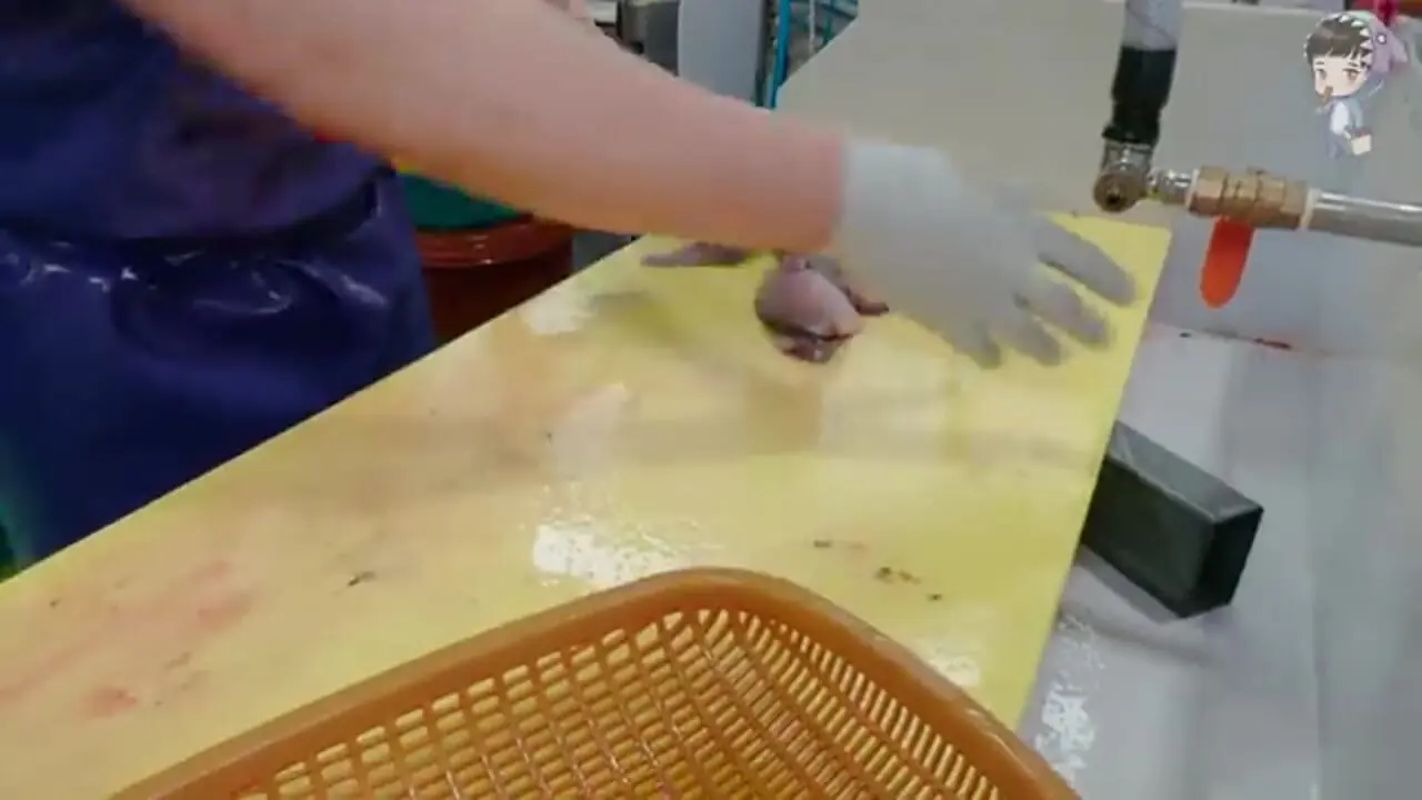 ببینید| غذای خیابانی در کره؛ برش ماهرانه و تهیه ساشیمی با ماهی ماکرل در سئول