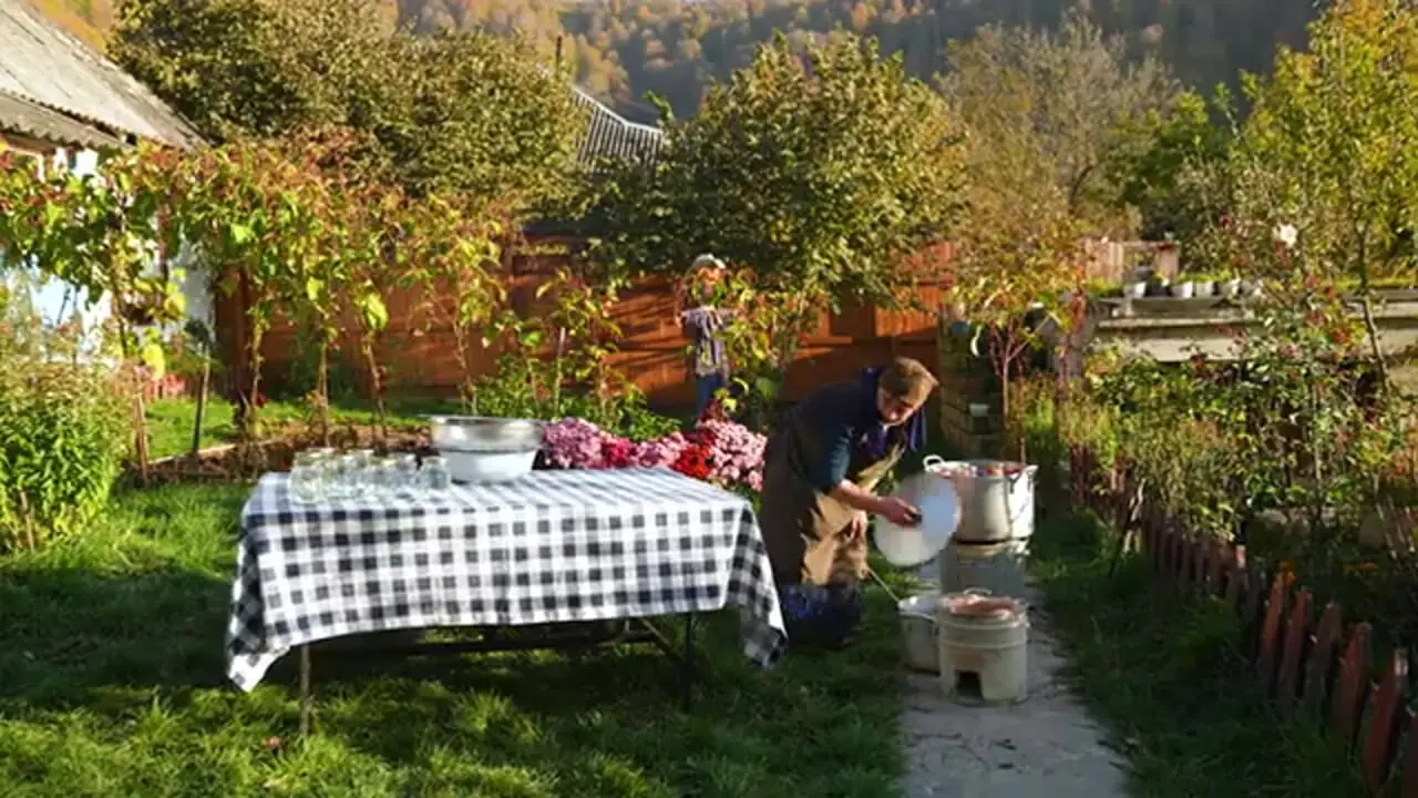 ببینید| غذای روستایی در آذربایجان؛ تهیه مربا، کمپوت و آبمیوه با انار