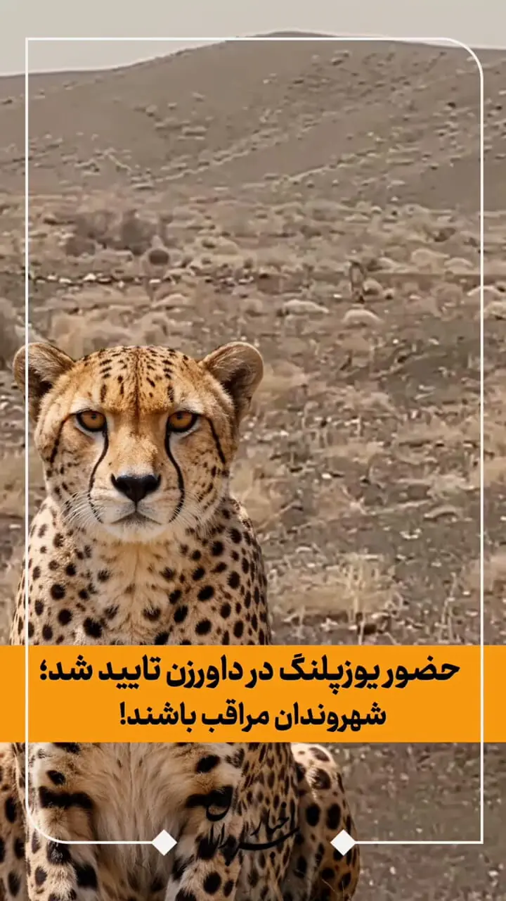 حضور حیوان در حال انقراض در منطقه تأیید شد؛ مردم به شدت مراقب باشند | اعزام فوری تیم‌های تخصصی و پایش دقیق به منطقه