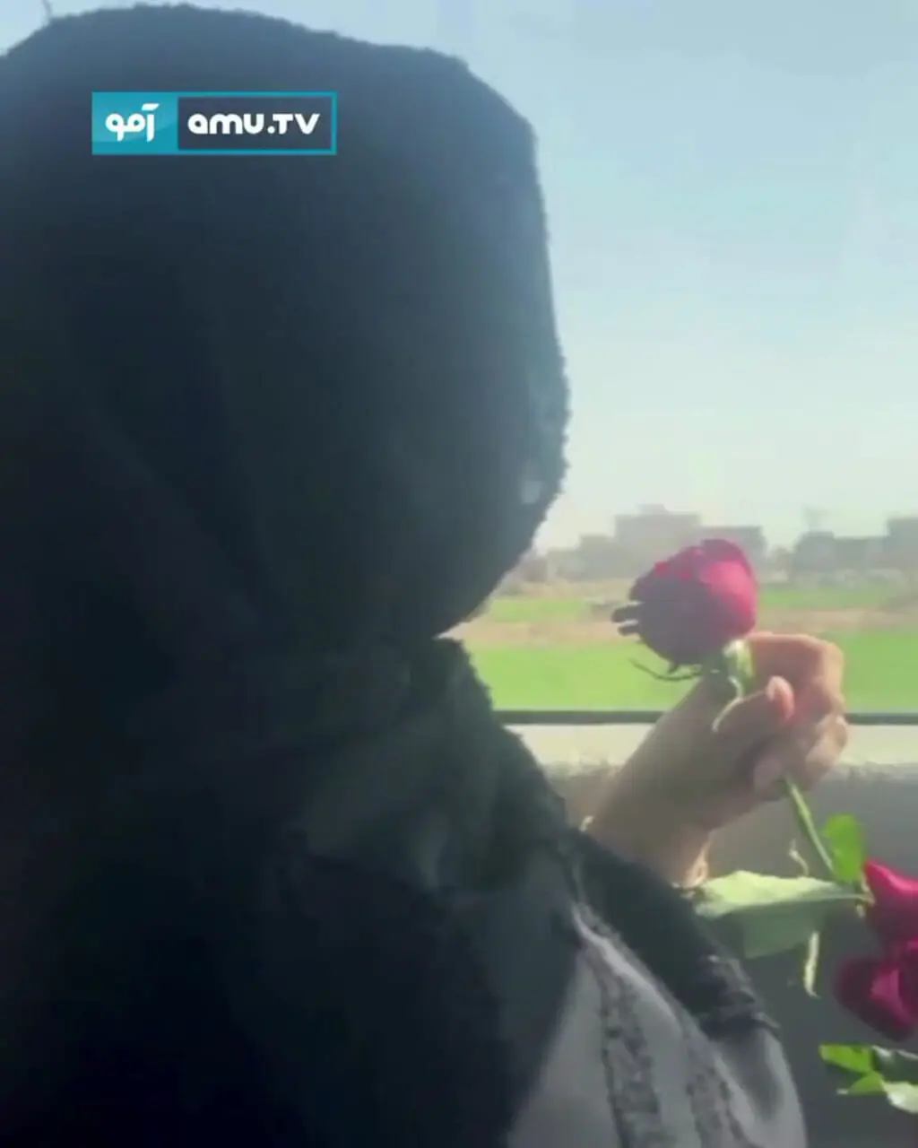 ببینید| ولنتاین در افغانستان زیر سایه طالبان چگونه گذشت؟