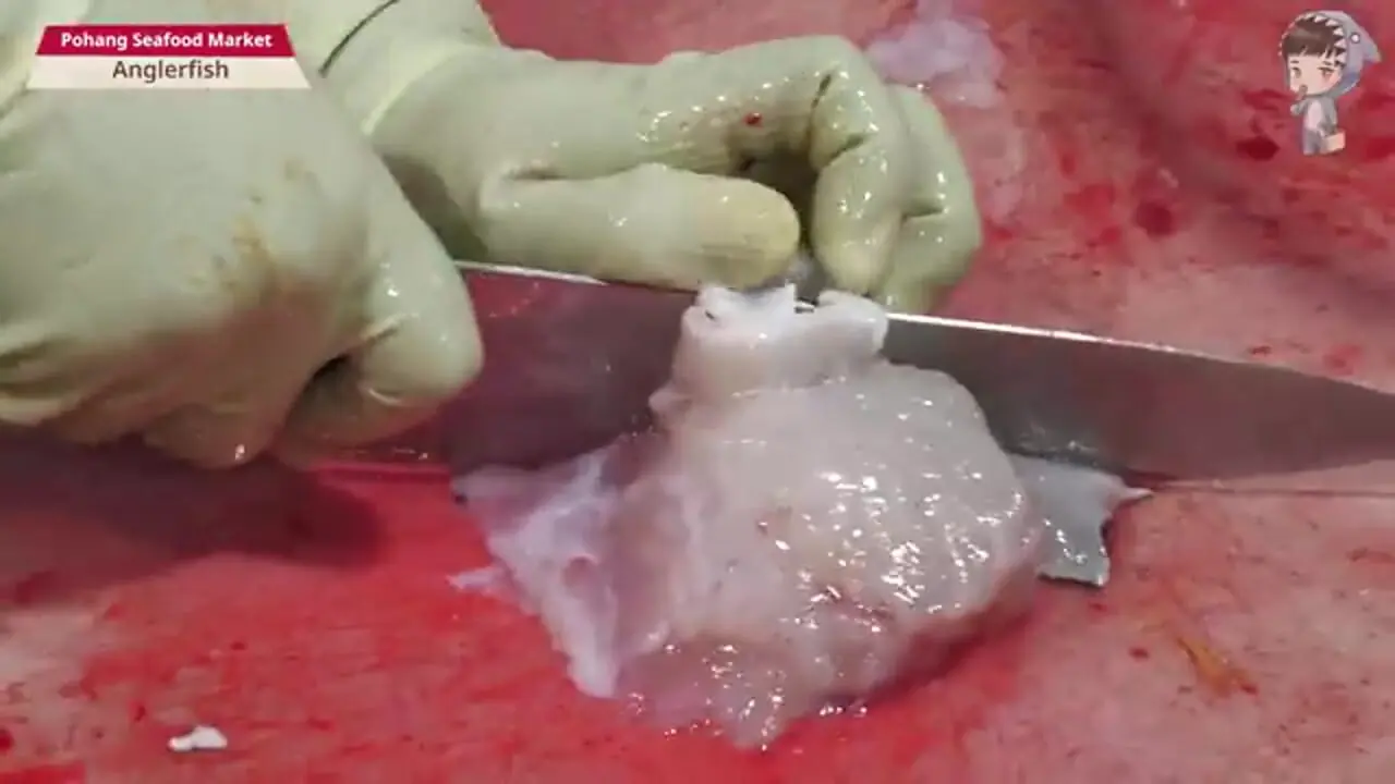 غذای خیابانی در کره؛ برش راهب ماهی و تهیه ساشیمی با آن در پوهانگ