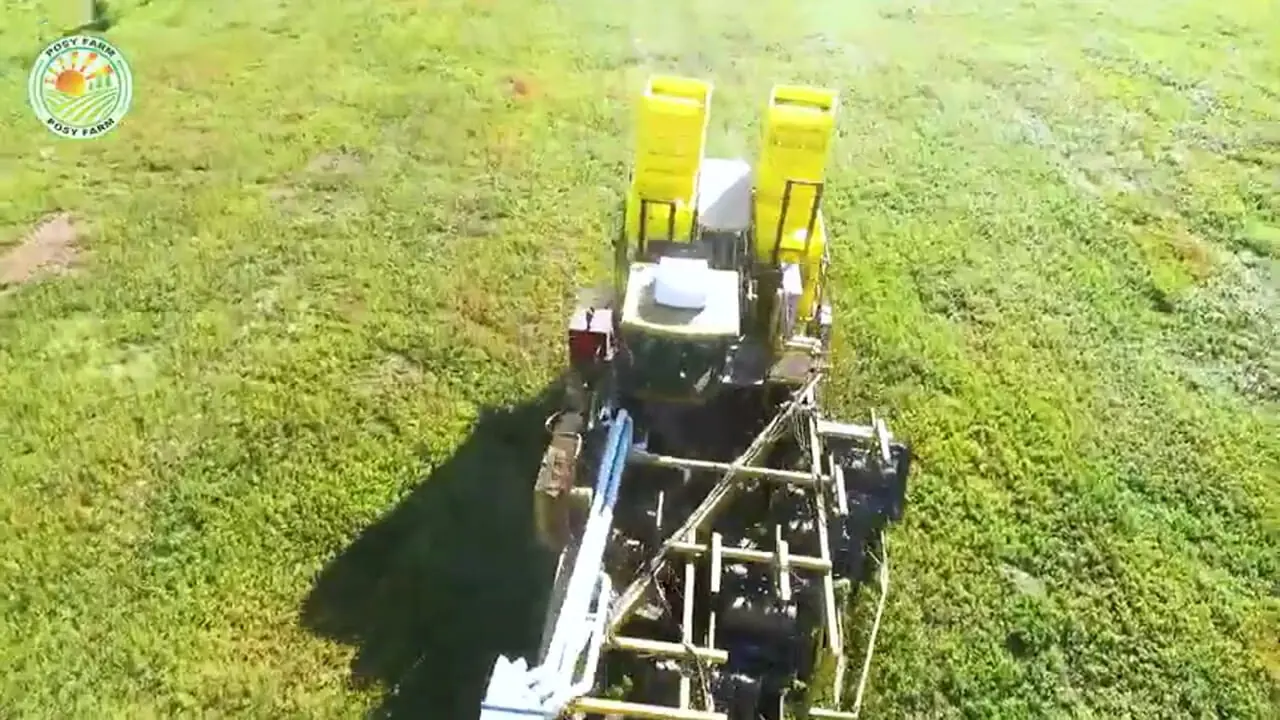 مراحل دیدنی کاشت، برداشت و فرآوری هزاران کیلو بلوبری در آمریکا