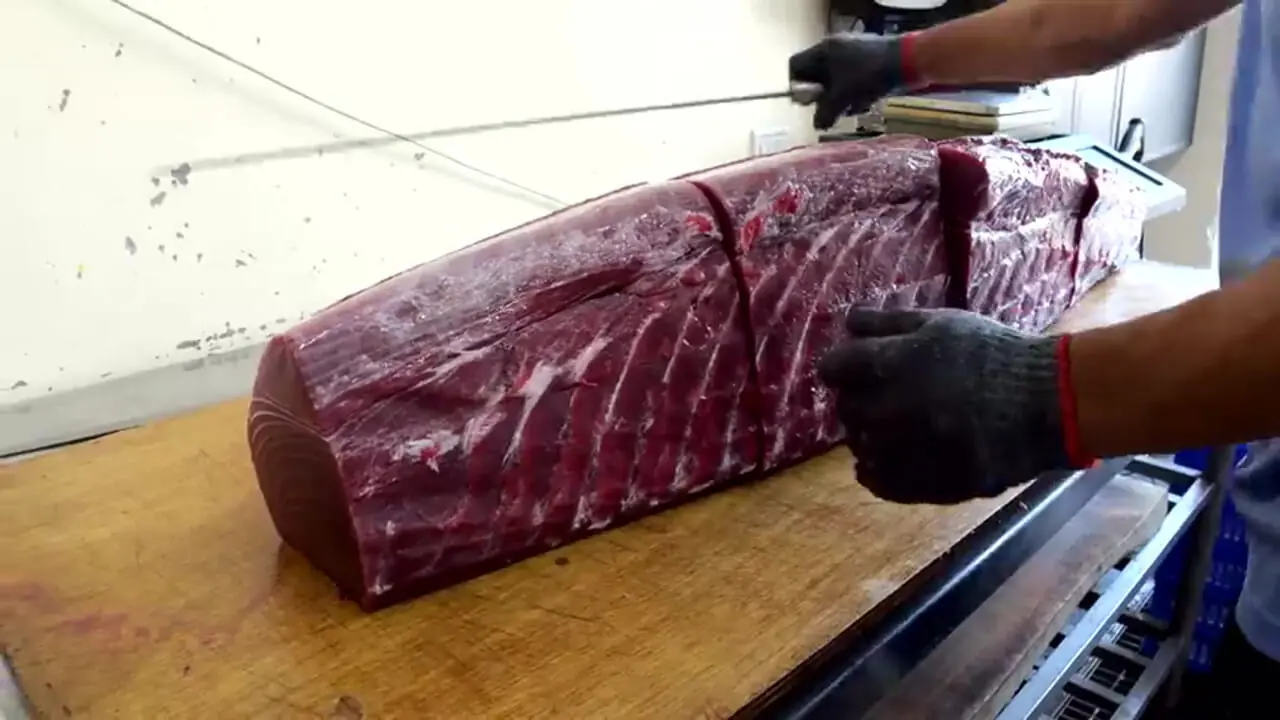 برش زدن ماهی تن بلوفین 337 کیلوگرمی و تهیه ساشیمی با آن در تایوان