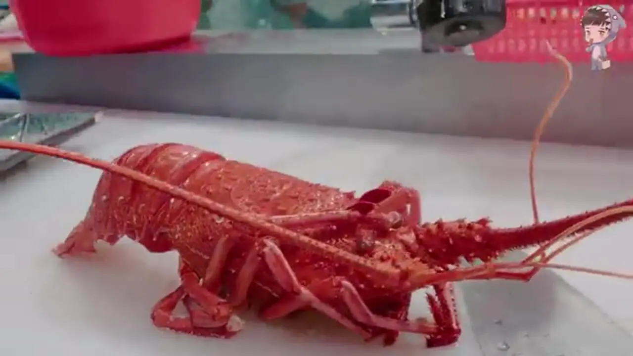 غذای خیابانی در کره؛ لابستر کبابی با سبزیجات در سئول