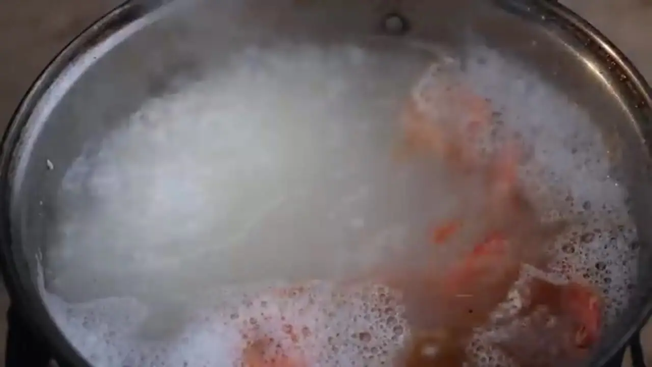 غذای روستایی در چین؛ برداشت صدف آب شیرین و پخت غذا با آن