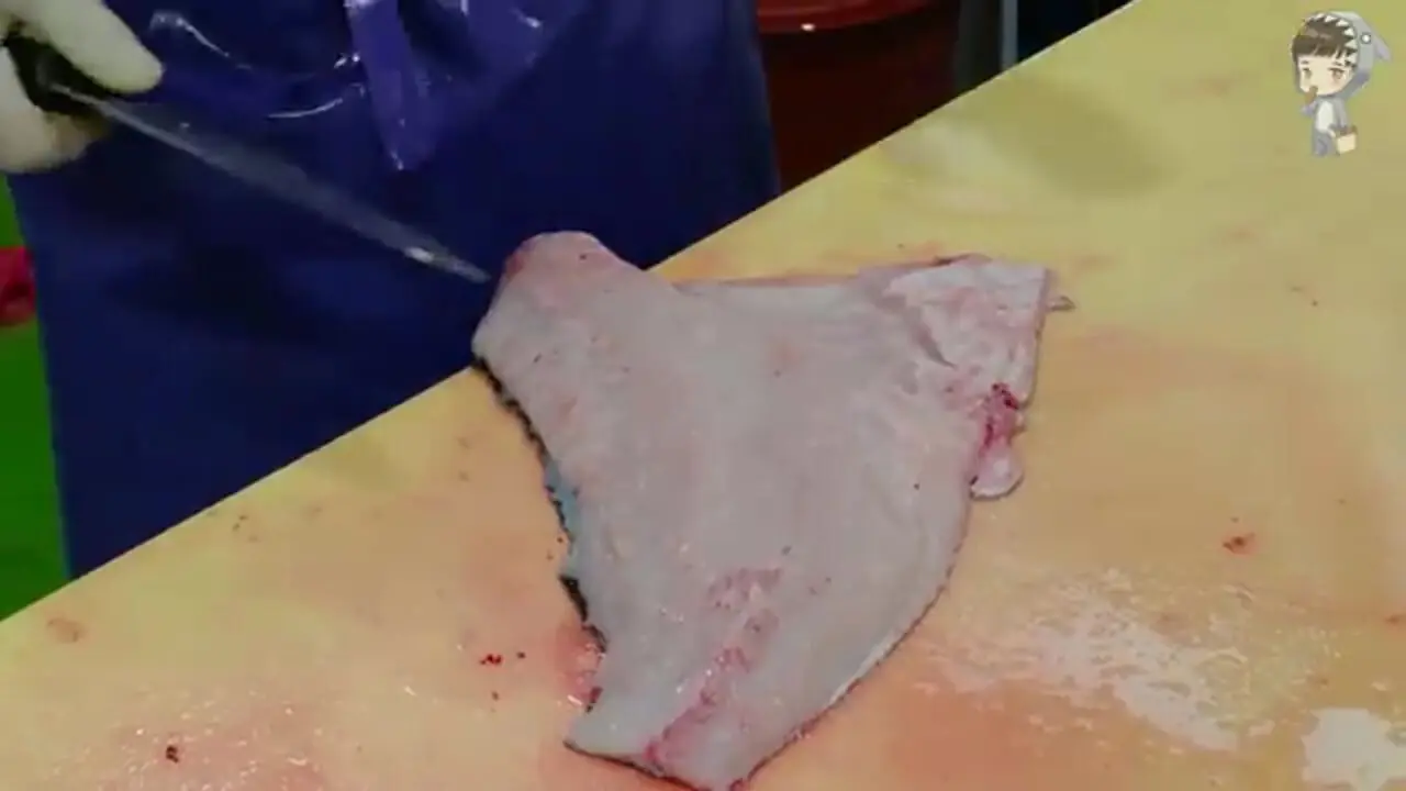 غذای خیابانی در کره؛ برش سنگ ماهی و تهیه ساشیمی با آن در سئول