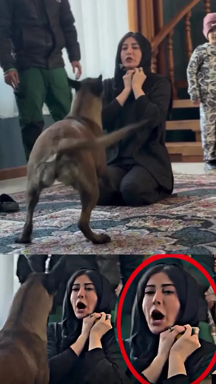 ببینید| فیلم خانم بازیگر سریال ستایش در یک شرایط ترسناک
