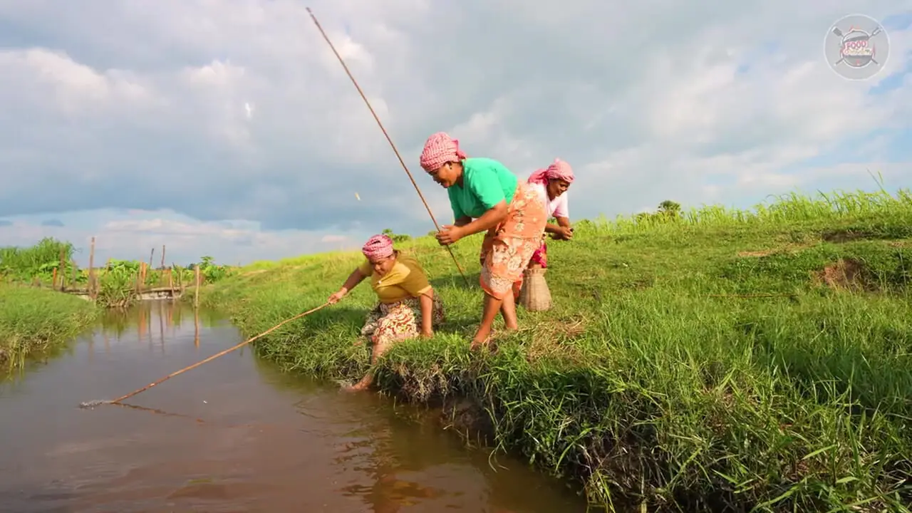 ببینید| غذای روستایی در سنگاپور؛ صید ماهی و کباب کردن آن در کنار شالیزار